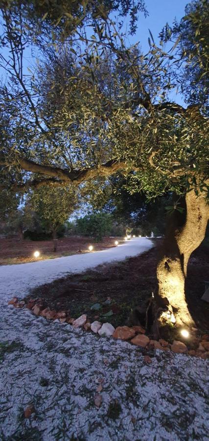 Helloapulia La Perla Di Torre Guaceto Villa Serranova Exteriör bild